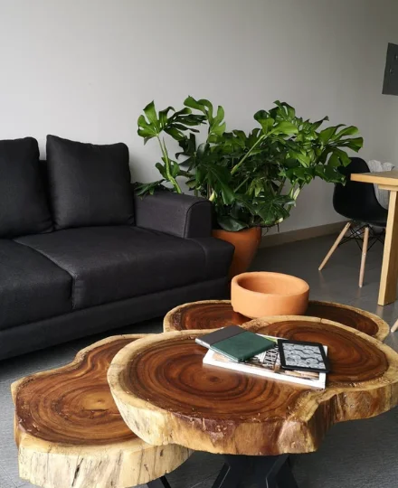 Multi-Level Parota Slice Coffee Table