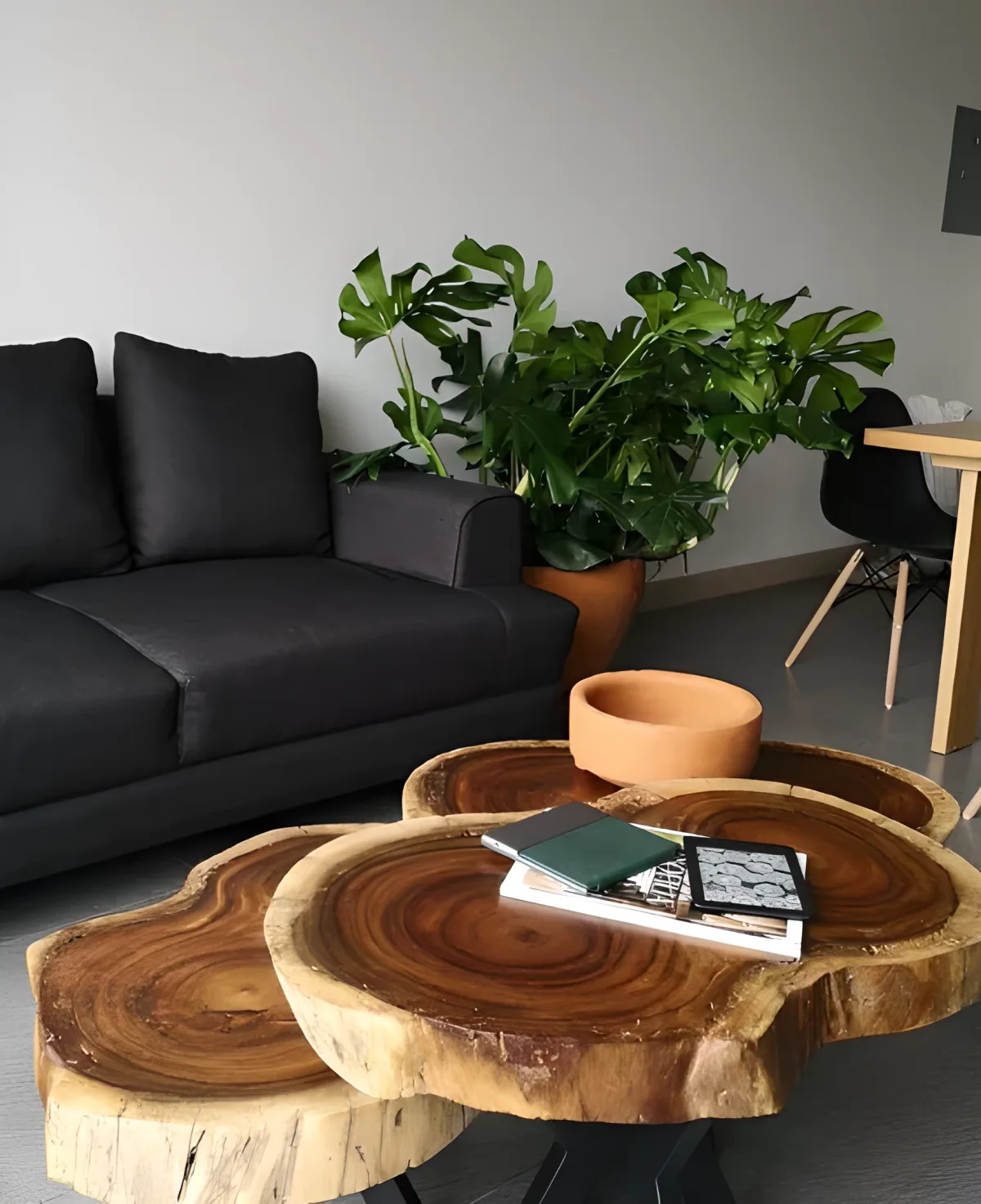 Sculptural coffee table with parota wood slices at multiple heights