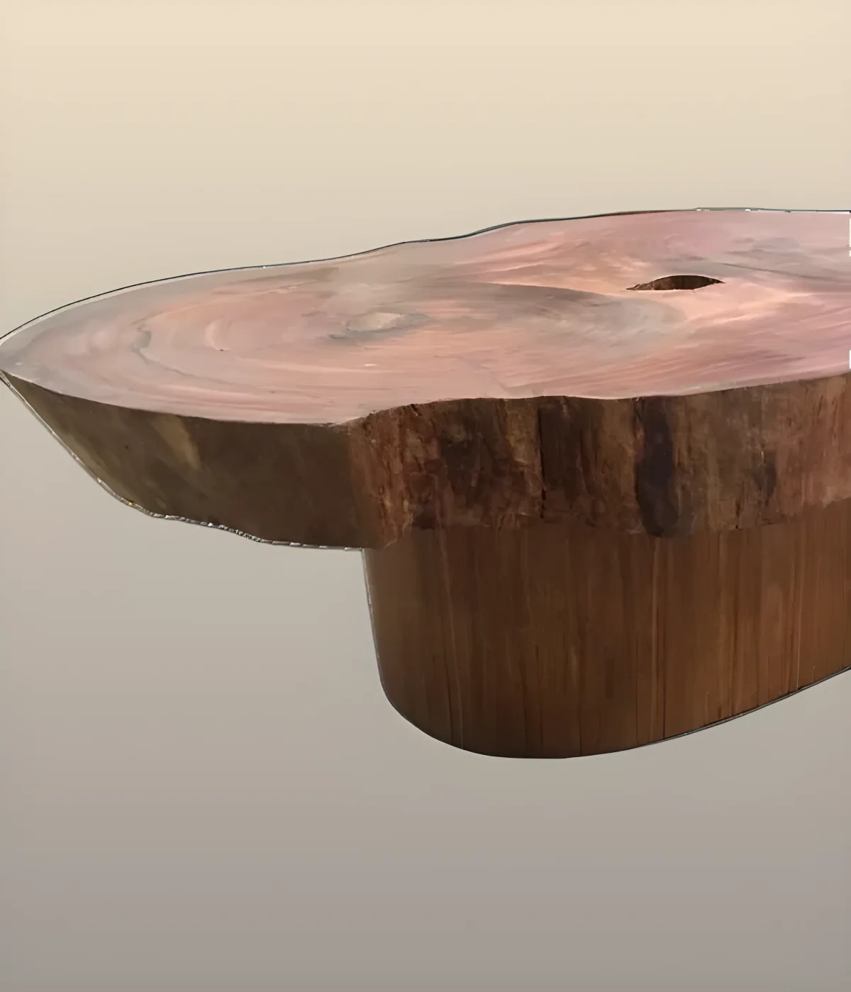 Giant 'Live Edge' parota slice coffee table, unique one-of-a-kind piece